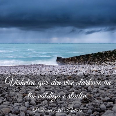 Picture 03 - Predikaren 7:20 SV1917 - Visheten gör den vise starkare än tio väldiga - Bible Verse Picture