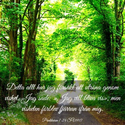 Picture 03 - Predikaren 7:24 SV1917 - Detta allt har jag försökt att utröna genom - Bible Verse Picture