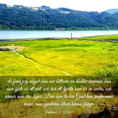Picture 03 - Predikaren 7:27 SV1917 - då fann jag något som var bittrare än döden: - Bible Verse Picture