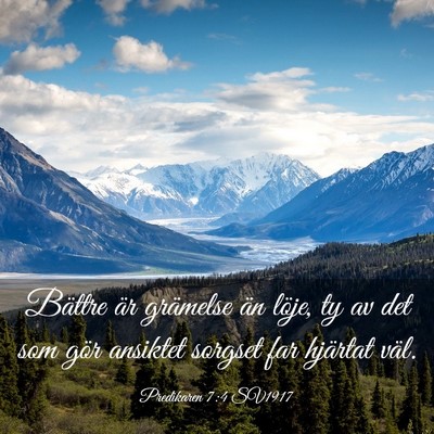 Picture 03 - Predikaren 7:4 SV1917 - Bättre är grämelse än löje, ty av det som - Bible Verse Picture