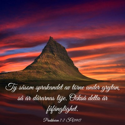 Picture 03 - Predikaren 7:7 SV1917 - Ty såsom sprakandet av törne under grytan, så - Bible Verse Picture