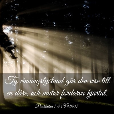 Picture 03 - Predikaren 7:8 SV1917 - Ty vinningslystnad gör den vise till en dåre, - Bible Verse Picture