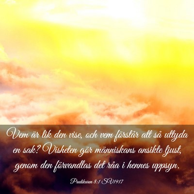 Picture 03 - Predikaren 8:1 SV1917 - Vem är lik den vise, och vem förstår att så - Bible Verse Picture