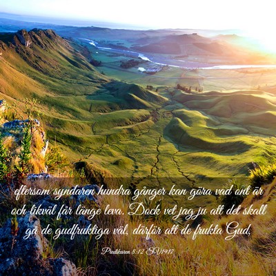 Picture 03 - Predikaren 8:12 SV1917 - eftersom syndaren hundra gånger kan göra vad - Bible Verse Picture