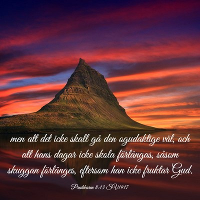 Picture 03 - Predikaren 8:13 SV1917 - men att det icke skall gå den ogudaktige väl, - Bible Verse Picture