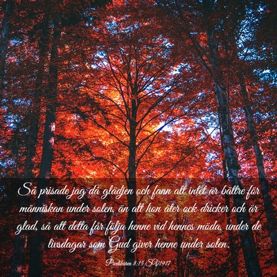 Picture 03 - Predikaren 8:15 SV1917 - Så prisade jag då glädjen och fann att intet - Bible Verse Picture