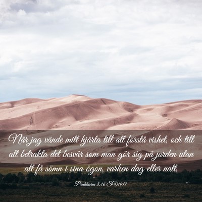 Picture 03 - Predikaren 8:16 SV1917 - När jag vände mitt hjärta till att förstå - Bible Verse Picture