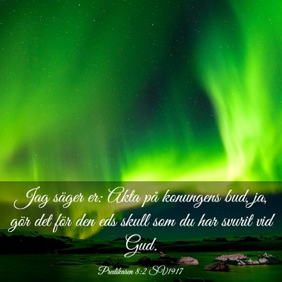 Picture 03 - Predikaren 8:2 SV1917 - Jag säger er: Akta på konungens bud, ja, gör - Bible Verse Picture