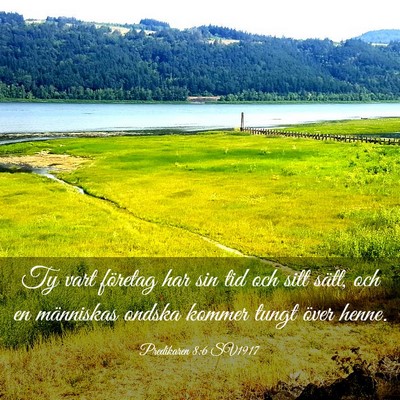 Picture 03 - Predikaren 8:6 SV1917 - Ty vart företag har sin tid och sitt sätt, och - Bible Verse Picture