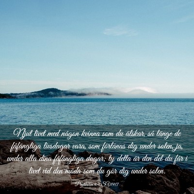 Picture 03 - Predikaren 9:9 SV1917 - Njut livet med någon kvinna som du älskar, så - Bible Verse Picture