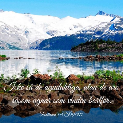 Picture 03 - Psaltaren 1:4 SV1917 - Icke så de ogudaktiga, utan de äro såsom agnar - Bible Verse Picture