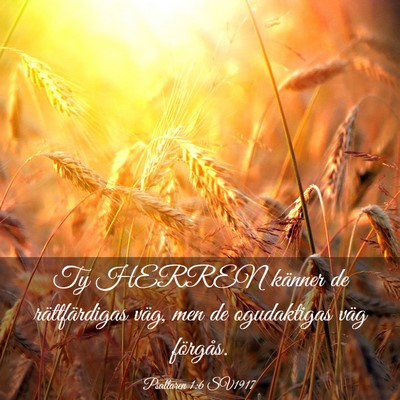 Picture 03 - Psaltaren 1:6 SV1917 - Ty HERREN känner de rättfärdigas väg, men de - Bible Verse Picture