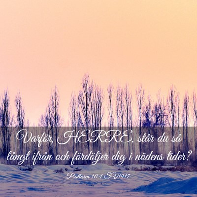 Picture 03 - Psaltaren 10:1 SV1917 - Varför, HERRE, står du så långt ifrån och - Bible Verse Picture