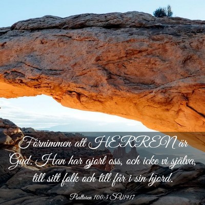 Picture 03 - Psaltaren 100:3 SV1917 - Förnimmen att HERREN är Gud. Han har gjort oss, - Bible Verse Picture