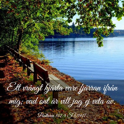 Picture 03 - Psaltaren 101:4 SV1917 - Ett vrångt hjärta vare fjärran ifrån mig; vad - Bible Verse Picture