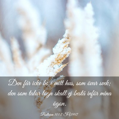 Picture 03 - Psaltaren 101:7 SV1917 - Den får icke bo i mitt hus, som övar svek; den - Bible Verse Picture