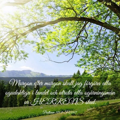 Picture 03 - Psaltaren 101:8 SV1917 - Morgon efter morgon skall jag förgöra alla - Bible Verse Picture