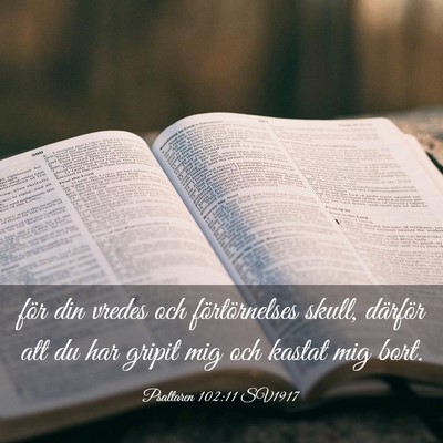Picture 03 - Psaltaren 102:11 SV1917 - för din vredes och förtörnelses skull, - Bible Verse Picture