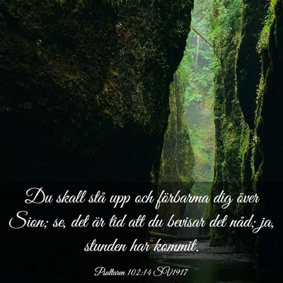 Picture 03 - Psaltaren 102:14 SV1917 - Du skall stå upp och förbarma dig över Sion; - Bible Verse Picture