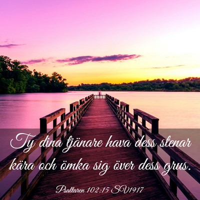 Picture 03 - Psaltaren 102:15 SV1917 - Ty dina tjänare hava dess stenar kära och ömka - Bible Verse Picture
