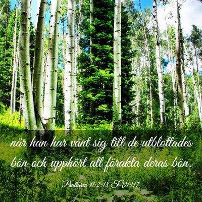 Picture 03 - Psaltaren 102:18 SV1917 - när han har vänt sig till de utblottades bön - Bible Verse Picture