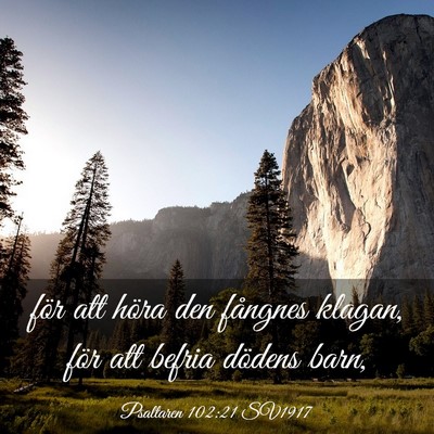 Picture 03 - Psaltaren 102:21 SV1917 - för att höra den fångnes klagan, för att - Bible Verse Picture