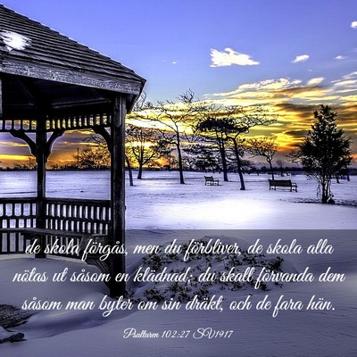 Picture 03 - Psaltaren 102:27 SV1917 - de skola förgås, men du förbliver, de skola - Bible Verse Picture