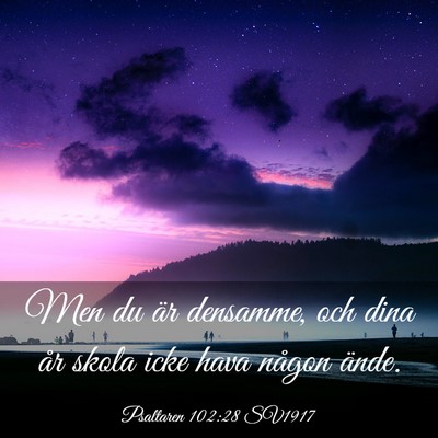 Picture 03 - Psaltaren 102:28 SV1917 - Men du är densamme, och dina år skola icke hava - Bible Verse Picture