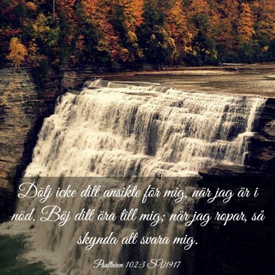 Picture 03 - Psaltaren 102:3 SV1917 - Dölj icke ditt ansikte för mig, när jag är i - Bible Verse Picture