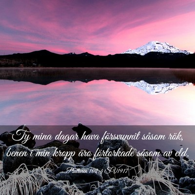 Picture 03 - Psaltaren 102:4 SV1917 - Ty mina dagar hava försvunnit såsom rök, benen - Bible Verse Picture