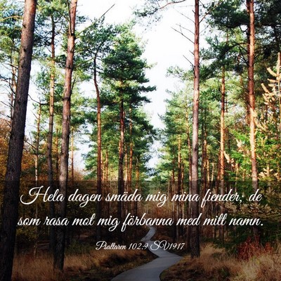 Picture 03 - Psaltaren 102:9 SV1917 - Hela dagen smäda mig mina fiender; de som rasa - Bible Verse Picture