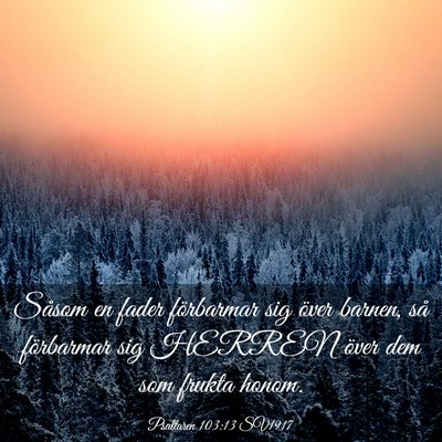 Picture 03 - Psaltaren 103:13 SV1917 - Såsom en fader förbarmar sig över barnen, så - Bible Verse Picture