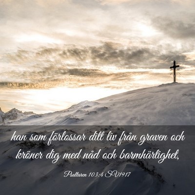Picture 03 - Psaltaren 103:4 SV1917 - han som förlossar ditt liv från graven och - Bible Verse Picture