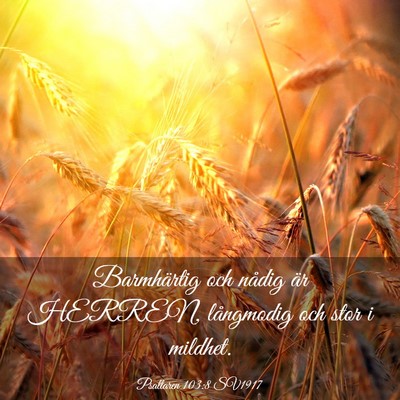 Picture 03 - Psaltaren 103:8 SV1917 - Barmhärtig och nådig är HERREN, långmodig och - Bible Verse Picture