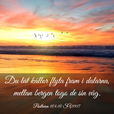 Picture 03 - Psaltaren 104:10 SV1917 - Du lät källor flyta fram i dalarna, mellan - Bible Verse Picture