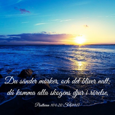 Picture 03 - Psaltaren 104:20 SV1917 - Du sänder mörker, och det bliver natt; då - Bible Verse Picture