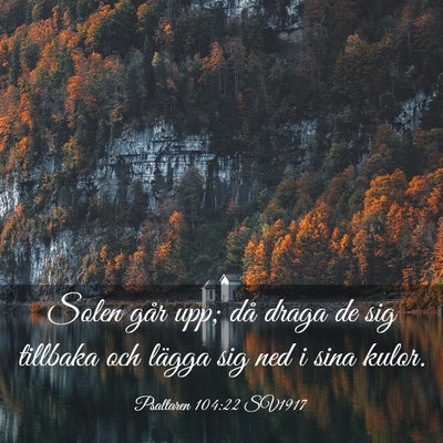 Picture 03 - Psaltaren 104:22 SV1917 - Solen går upp; då draga de sig tillbaka och - Bible Verse Picture