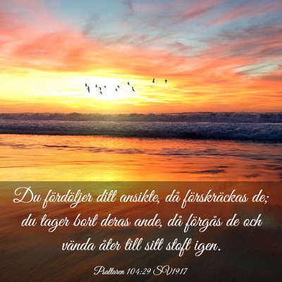 Picture 03 - Psaltaren 104:29 SV1917 - Du fördöljer ditt ansikte, då förskräckas - Bible Verse Picture