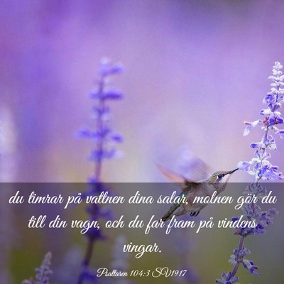 Picture 03 - Psaltaren 104:3 SV1917 - du timrar på vattnen dina salar, molnen gör du - Bible Verse Picture
