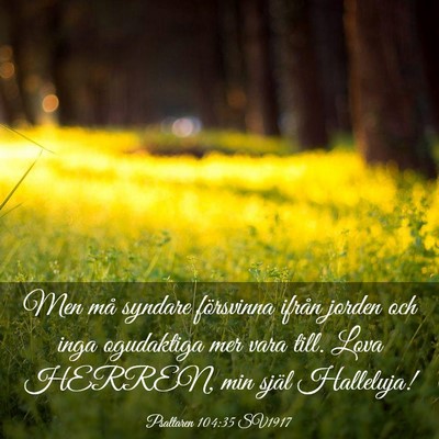 Picture 03 - Psaltaren 104:35 SV1917 - Men må syndare försvinna ifrån jorden och inga - Bible Verse Picture