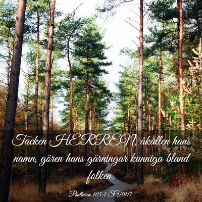 Picture 03 - Psaltaren 105:1 SV1917 - Tacken HERREN, åkallen hans namn, gören hans - Bible Verse Picture