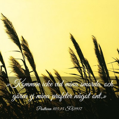 Picture 03 - Psaltaren 105:15 SV1917 - »Kommen icke vid mina smorda, och gören ej mina - Bible Verse Picture