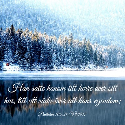 Picture 03 - Psaltaren 105:21 SV1917 - Han satte honom till herre över sitt hus, till - Bible Verse Picture