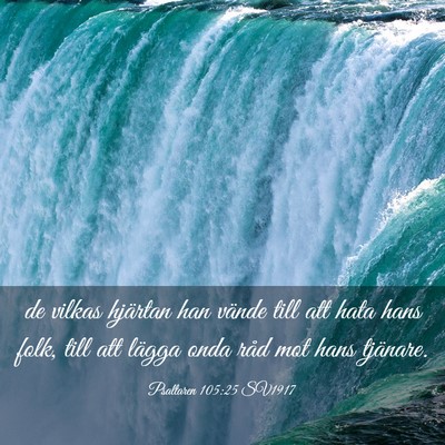 Picture 03 - Psaltaren 105:25 SV1917 - de vilkas hjärtan han vände till att hata hans - Bible Verse Picture