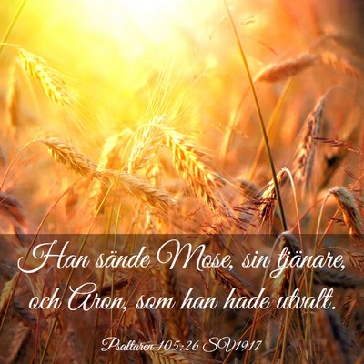 Picture 03 - Psaltaren 105:26 SV1917 - Han sände Mose, sin tjänare, och Aron, som han - Bible Verse Picture