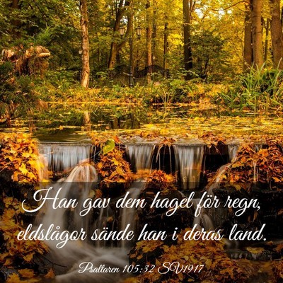 Picture 03 - Psaltaren 105:32 SV1917 - Han gav dem hagel för regn, eldslågor sände - Bible Verse Picture