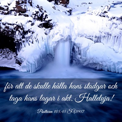 Picture 03 - Psaltaren 105:45 SV1917 - för att de skulle hålla hans stadgar och taga - Bible Verse Picture