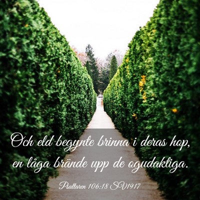 Picture 03 - Psaltaren 106:18 SV1917 - Och eld begynte brinna i deras hop, en låga - Bible Verse Picture