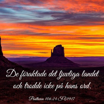 Picture 03 - Psaltaren 106:24 SV1917 - De föraktade det ljuvliga landet och trodde icke - Bible Verse Picture