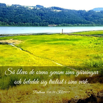 Picture 03 - Psaltaren 106:39 SV1917 - Så blevo de orena genom sina gärningar och - Bible Verse Picture
